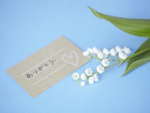 細かい作業から日曜大工まで幅広い工具